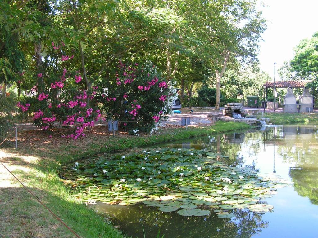 Camping Villaggio Italgest SantʼArcangelo Esterno foto
