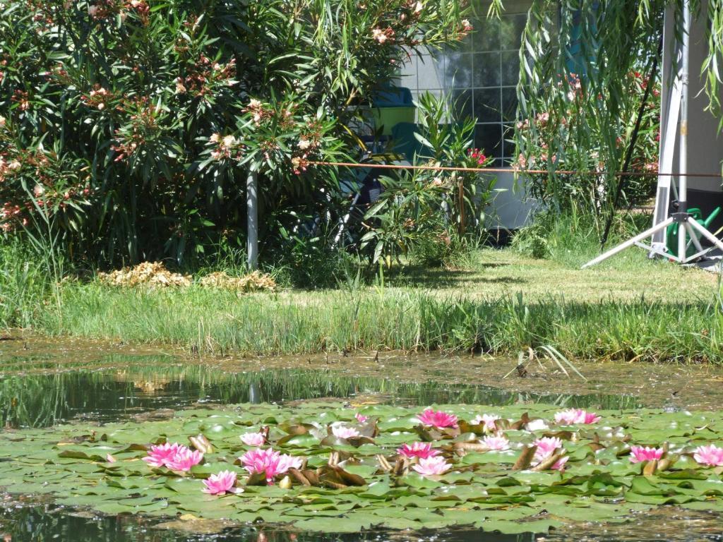 Camping Villaggio Italgest SantʼArcangelo Esterno foto